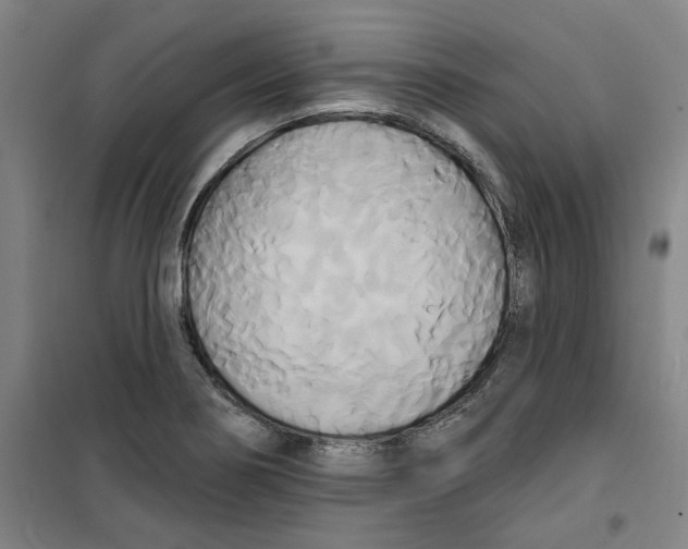 X0000100331274200807031226