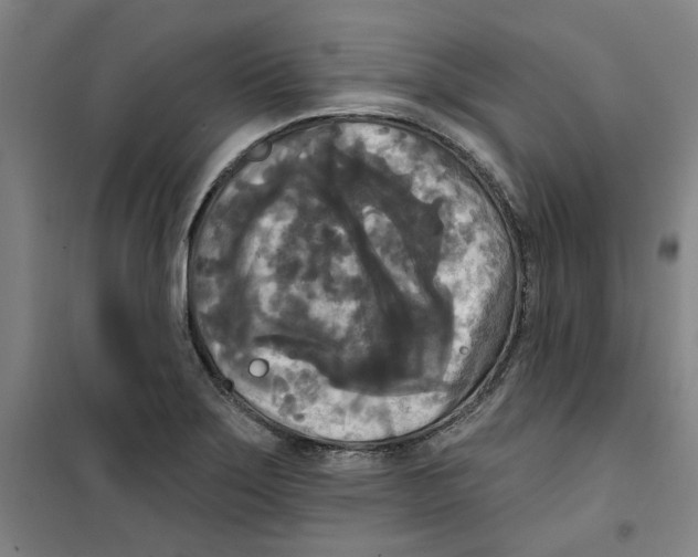 X0000100331275200807031226