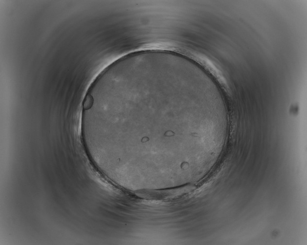 X0000100331276200807031226