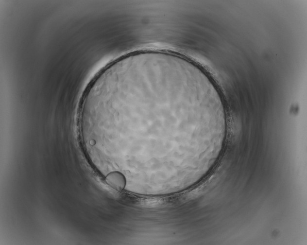 X0000100331278200807031226