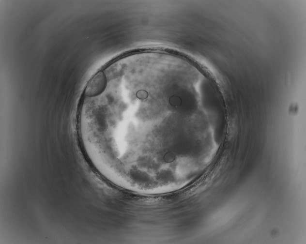 X0000100331279200807031226