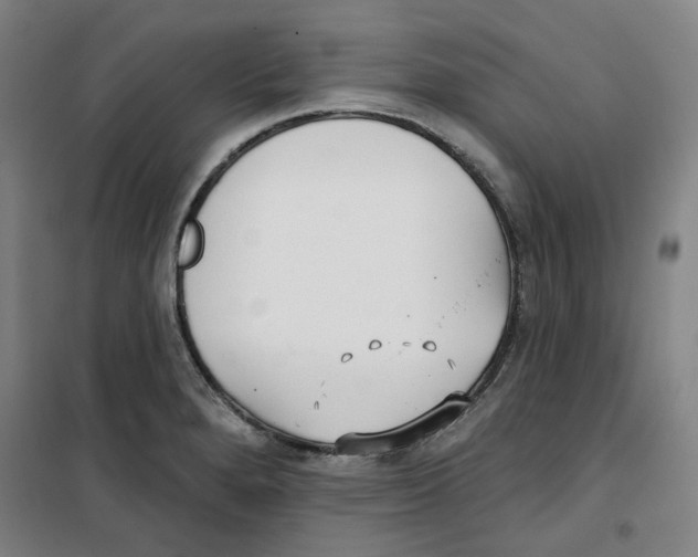 X0000100331280200807031226