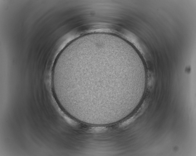 X0000100331282200807031226