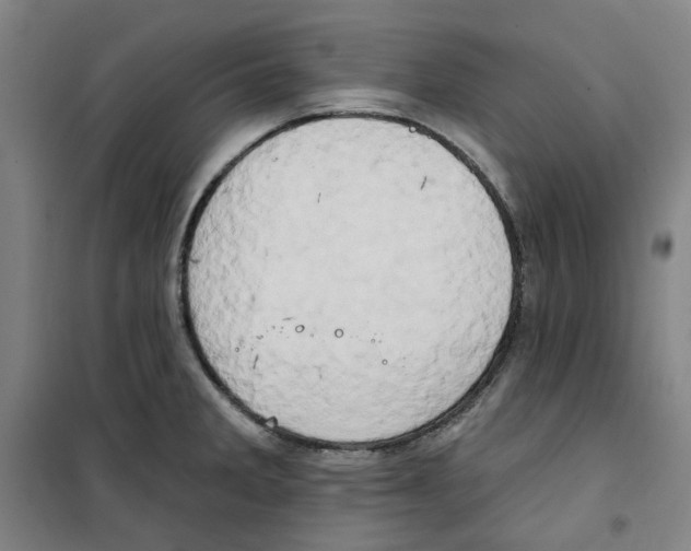 X0000100331285200807031226