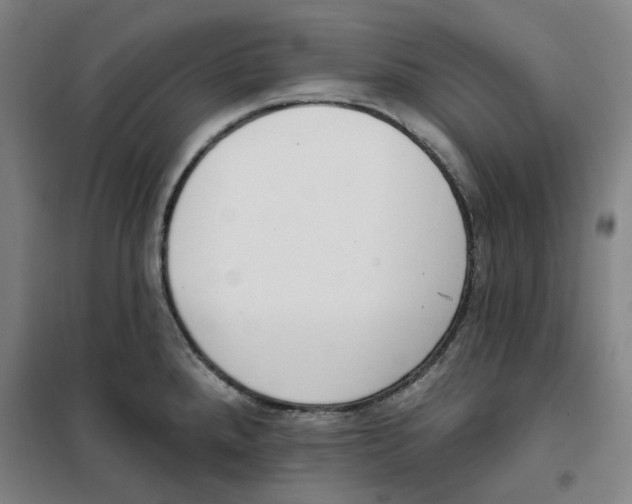 X0000100331288200807031226