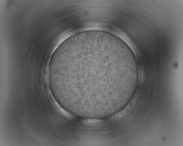 X0000100331290200807031226