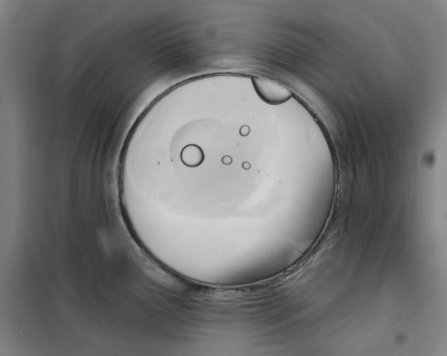 X0000100331291200807031226