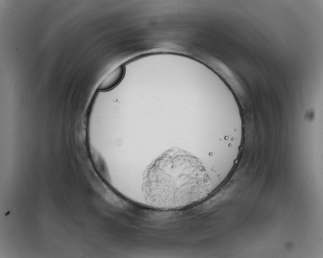 X0000100331292200807031226