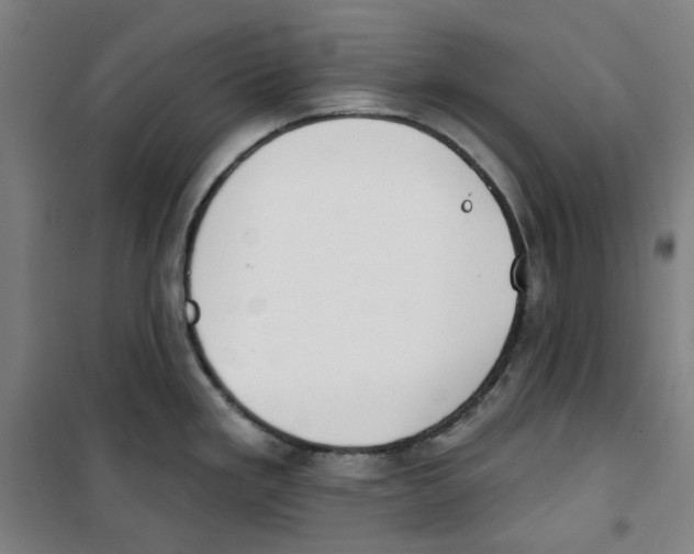 X0000100331293200807031226