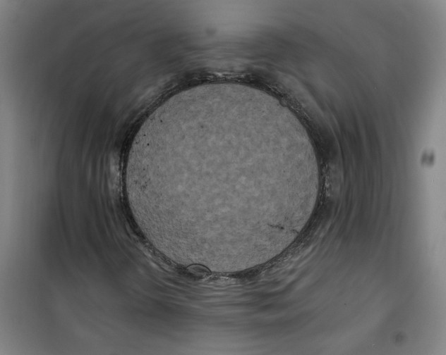 X0000100331298200807031225