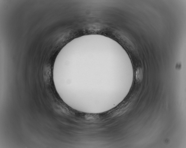 X0000100331299200807031225