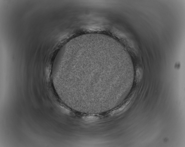 X0000100331300200807031225