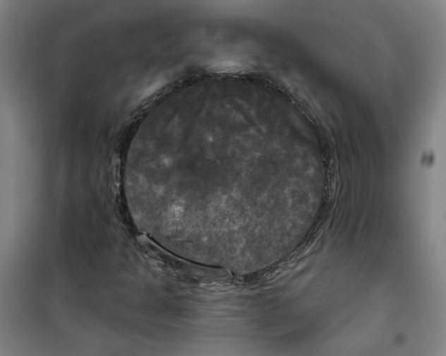 X0000100331301200807031225