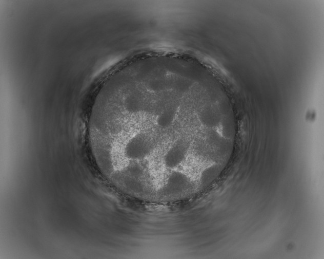 X0000100331302200807031225