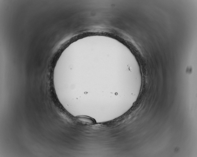 X0000100331304200807031225