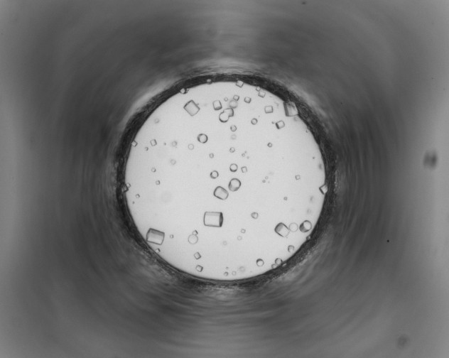 X0000100331309200807031225