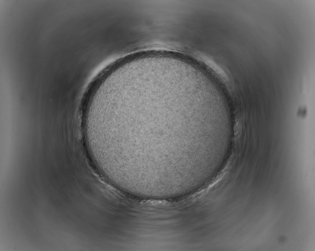 X0000100331310200807031225