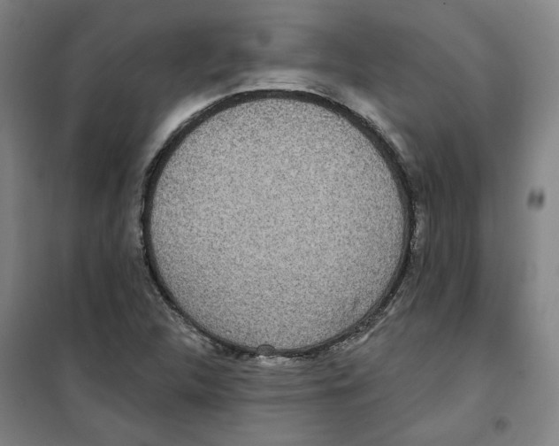 X0000100331312200807031225