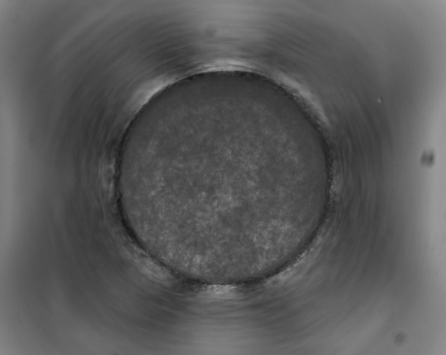 X0000100331313200807031225