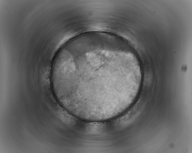 X0000100331314200807031225