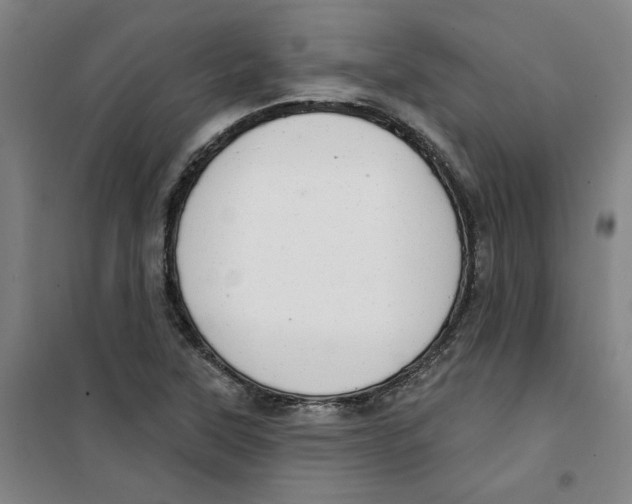 X0000100331315200807031225