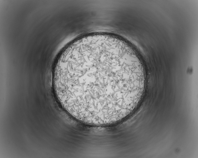 X0000100331317200807031225