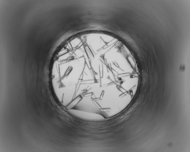 X0000100331318200807031225
