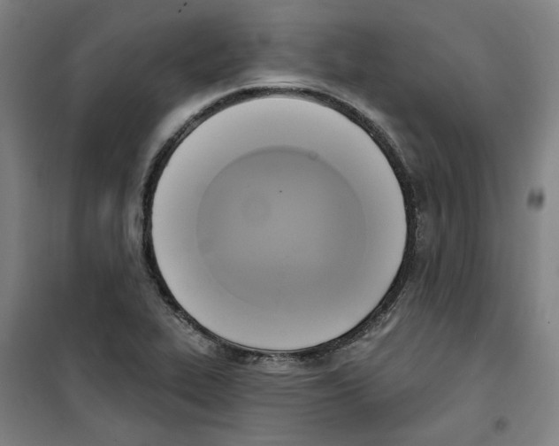 X0000100331319200807031225