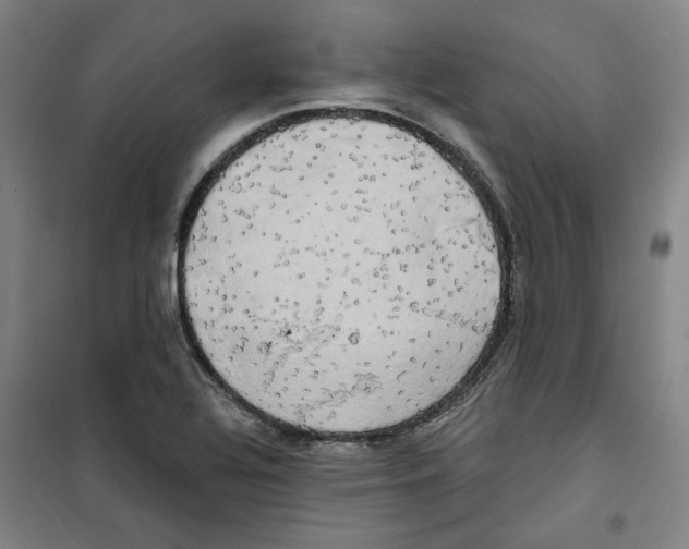 X0000100331320200807031225