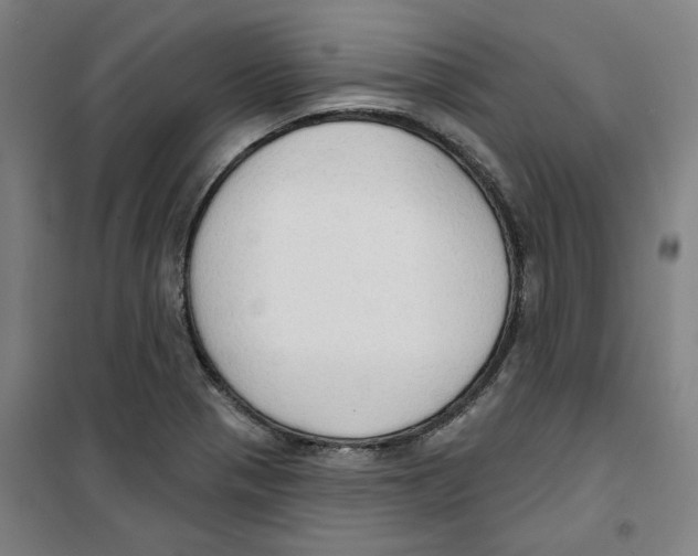 X0000100331321200807031225