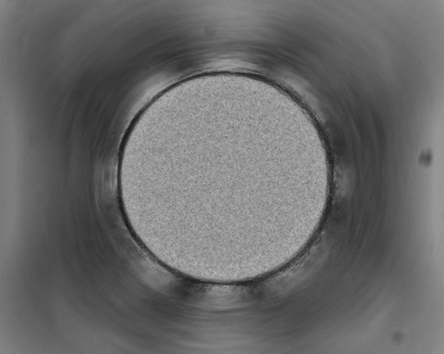 X0000100331322200807031225