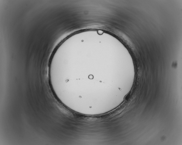 X0000100331324200807031225