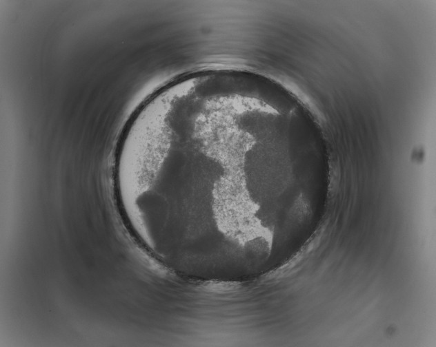 X0000100331325200807031225