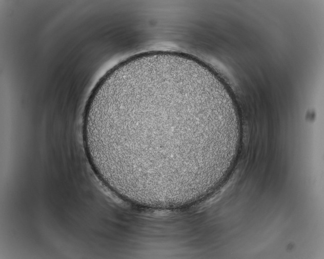 X0000100331326200807031226