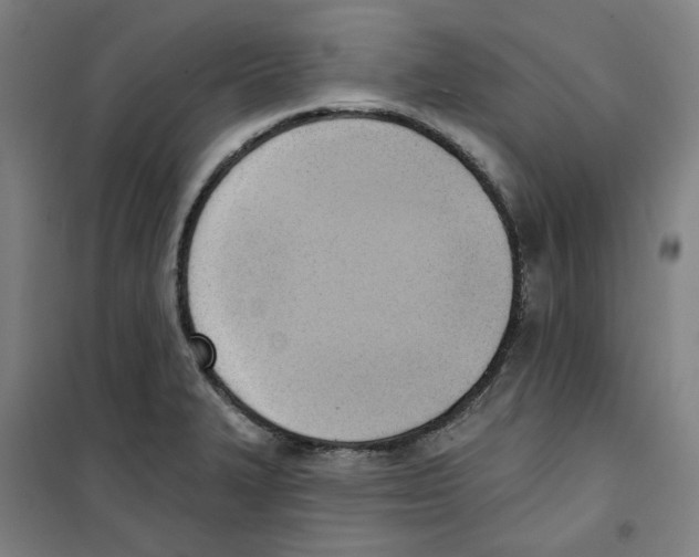 X0000100331327200807031226