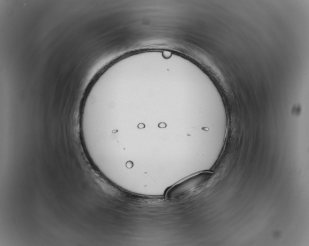 X0000100331328200807031226