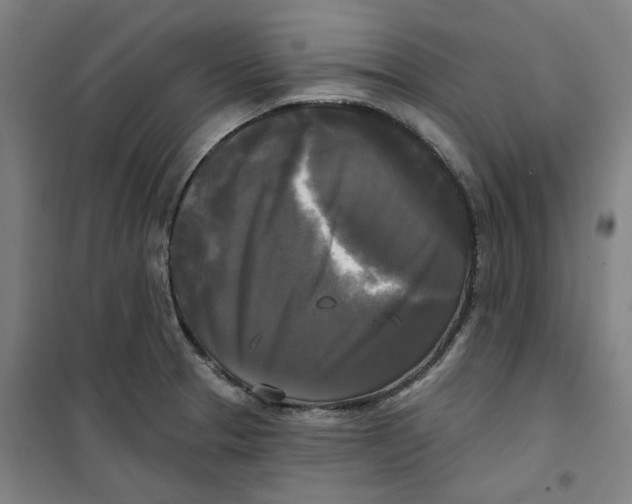 X0000100331329200807031226