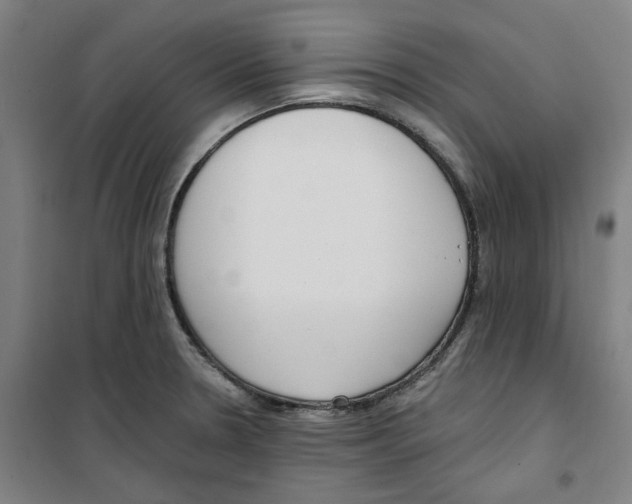 X0000100331330200807031226