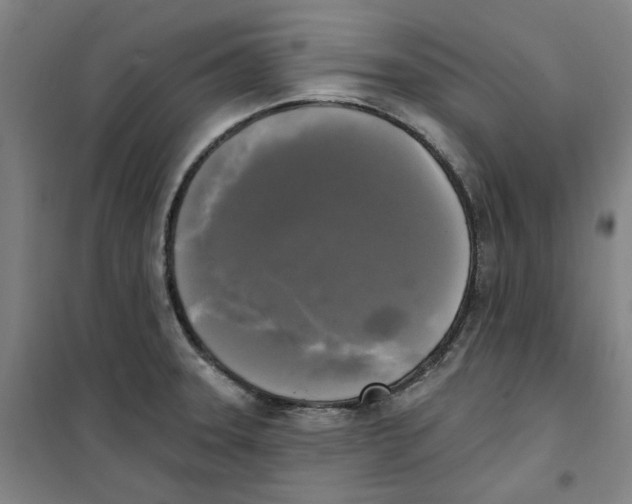 X0000100331331200807031226