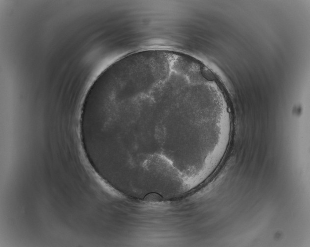 X0000100331333200807031226