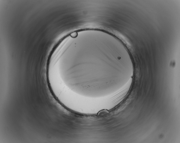 X0000100331334200807031226