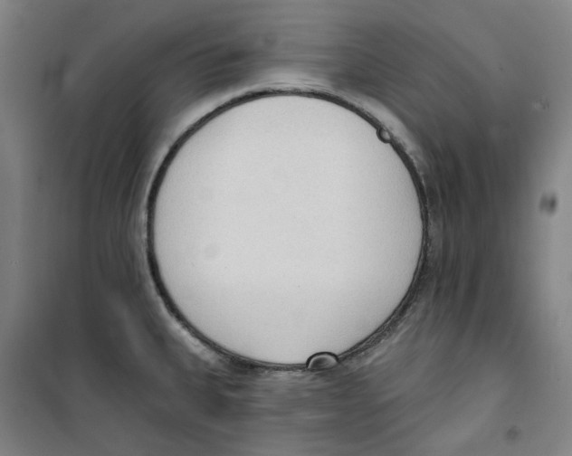 X0000100331335200807031226