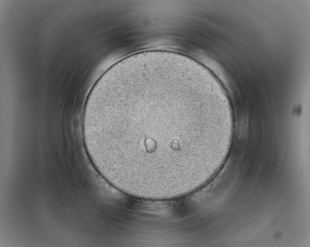 X0000100331338200807031226