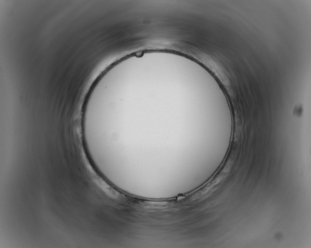 X0000100331342200807031226