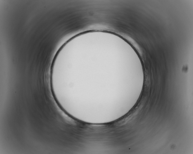 X0000100331343200807031226