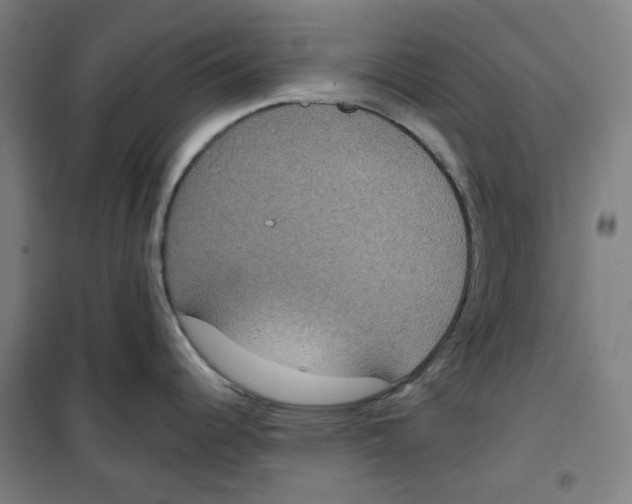 X0000100331344200807031226