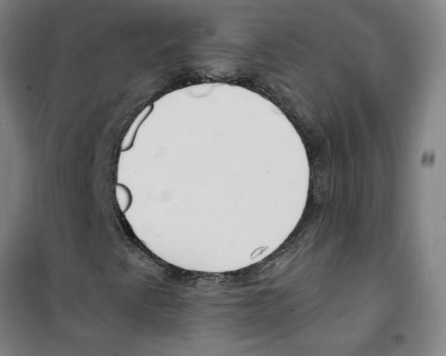 X0000100331345200807031225