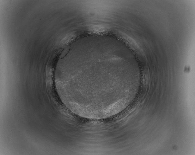 X0000100331346200807031225