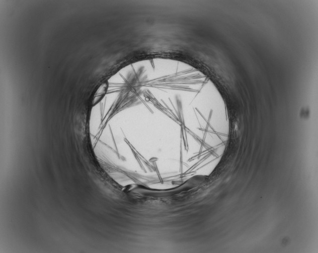 X0000100331348200807031225