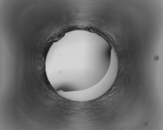 X0000100331349200807031225